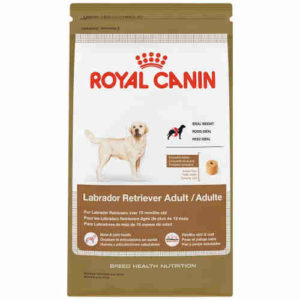 Royal Canin Labrador Retriever dry dog food Adult