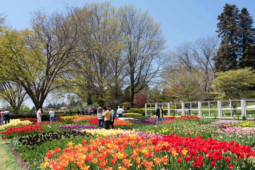 Longwood Gardens, Pennsylvania, United States