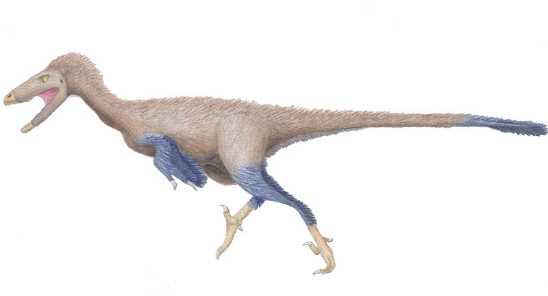 Troodon