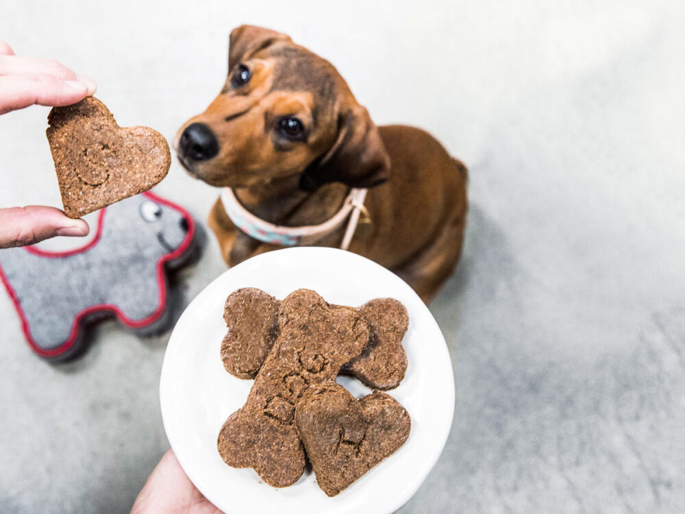 Best Gluten Free Treat For Your Pet