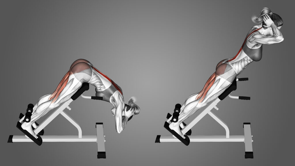 10 Best Ways To Use A Back Extension Machine