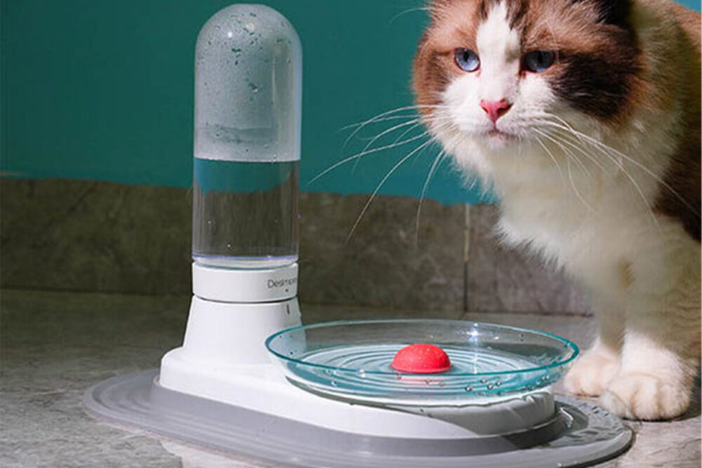 Advantages and Features of the Durable Cat Water Fountains