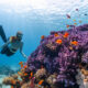 Diving and Water Sports in the Maldives