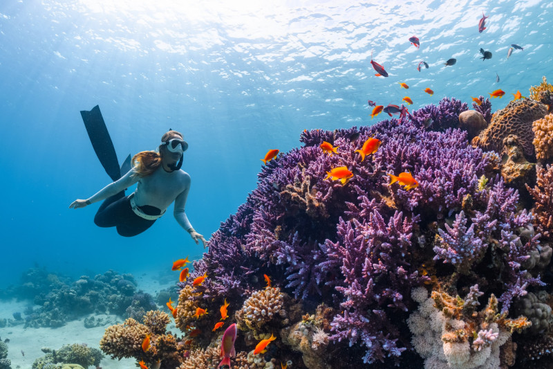 Diving and Water Sports in the Maldives