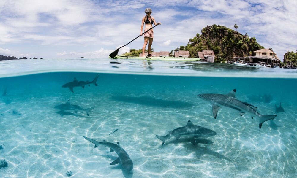 Lost Paradise of Raja Ampat