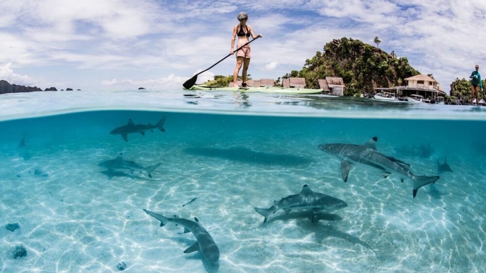 Lost Paradise of Raja Ampat
