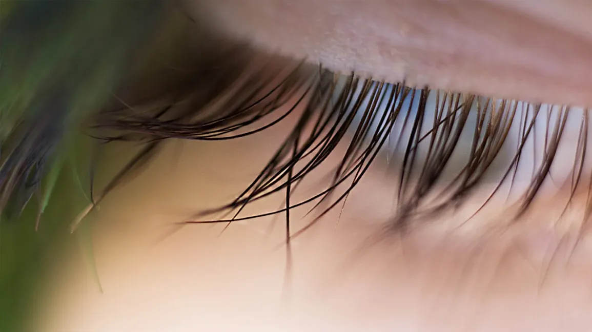 How Natural Ingredients Support Stronger and Healthier Eyelashes